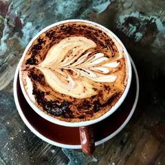 Bourke Street Bakery Surry Hills