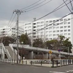 神奈川県立神奈川総合高等学校