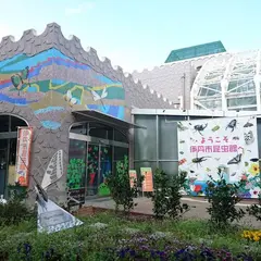 伊丹市昆虫館
