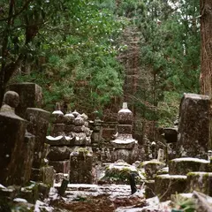 高野山中之橋霊園