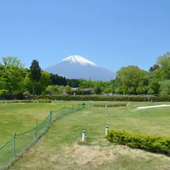 富士山樹空の森 パークゴルフ場