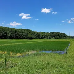 野田市こうのとりの里 芝生広場