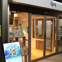 犬や猫の譲渡、里親募集・ペット用品販売｜NPO法人SPA
