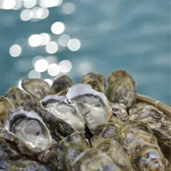 日進丸 糸島牡蠣小屋