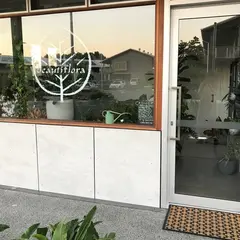 beautiflora @ Habitat Byron Bay