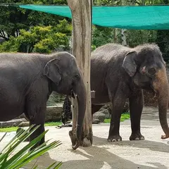 オークランド動物園