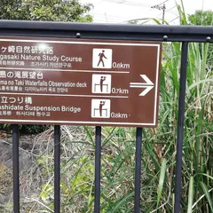 橋立観光駐車場