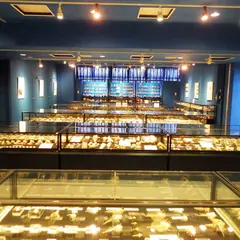 大島町貝の博物館「ぱれ・らめーる」