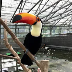 掛川花鳥園 駐車場