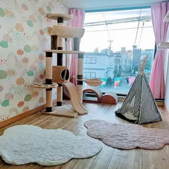 猫専用ペットホテル『ねこべや羽田空港店』