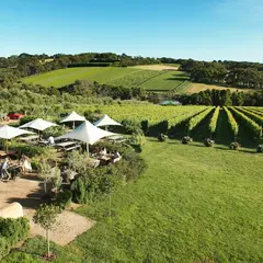 Montalto Piazza & Cellar Door