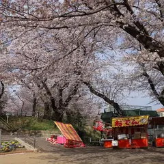 権現山城址