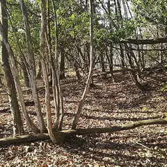 此隅山城跡