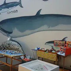 大洗海洋博物館