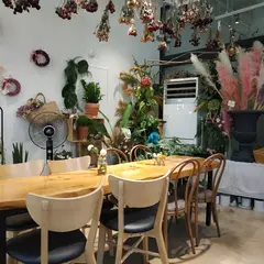 The Piola Cafe