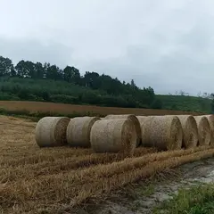 ジェットコースターロード