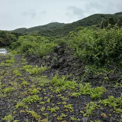 溶岩流遊歩道