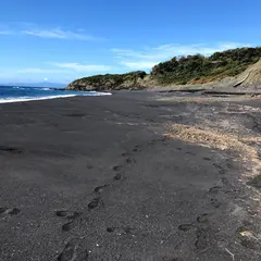 砂の浜