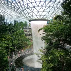 サン・フラワー・ガーデン, チャンギ Airport.
