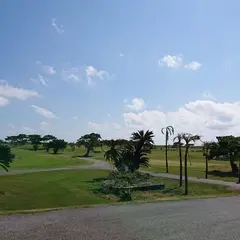 サシバリンクス伊良部