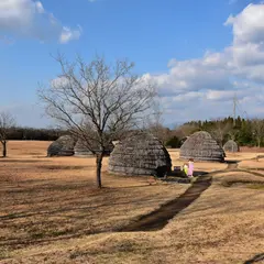 上野原縄文の森