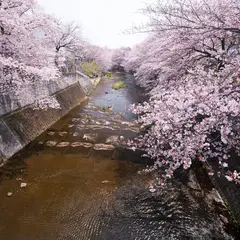 恩田川