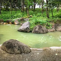 八ヶ岳 縄文天然温泉 尖石の湯
