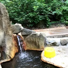 雨飾高原露天風呂