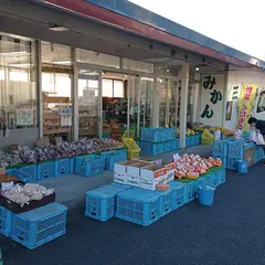 三ヶ日みかん直売所