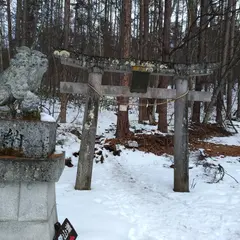 ロッジピノキオ