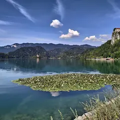 Bled Castle