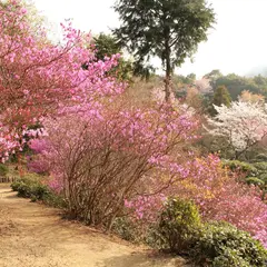 円明院