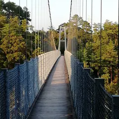 静岡県立森林公園 吊り橋 (空の散歩道)