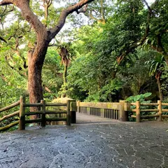 滝見橋