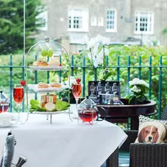 Afternoon Tea at The Montague on The Gardens