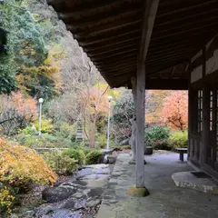 桜の丘公園