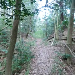 保々西城跡