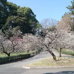 江戸城 梅林坂