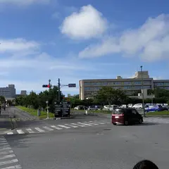 琉球大学 宜野湾口（北口）