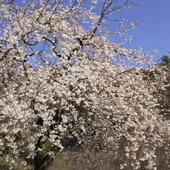 森林総合研究所 多摩森林科学園