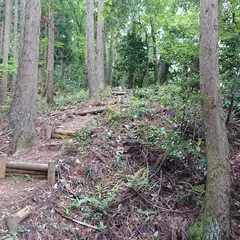 岩崎山砦跡