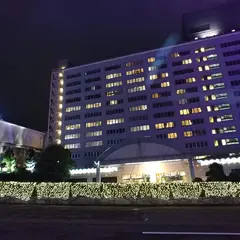 杉乃井ホテル HANA館