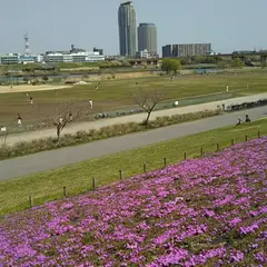 荒川赤羽緑地