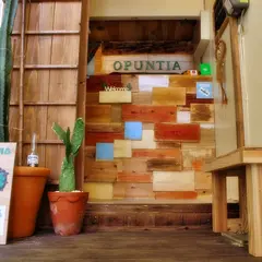 ゲストハウス オプンティア opuntia 石垣島