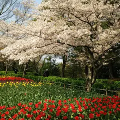 公渕森林公園