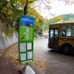 大山ケーブル（バス）
