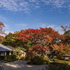 大願寺