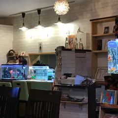 金魚カフェ
