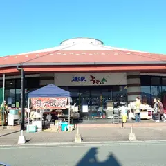 道の駅 うすい