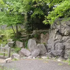 戸山公園（箱根山地区）
